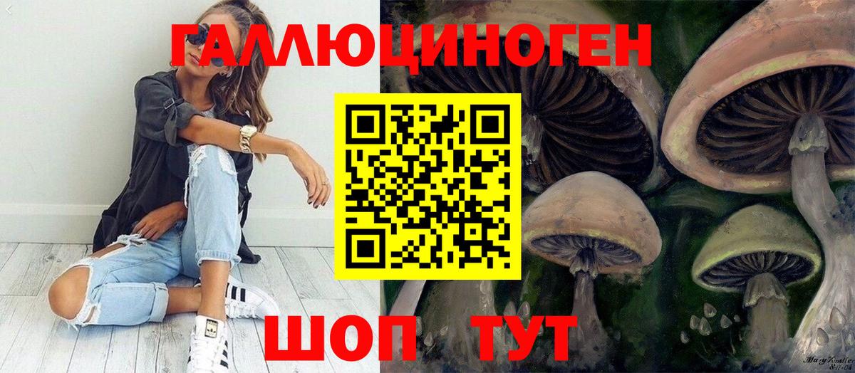 Галлюциногенные грибы GOLDEN TEACHER  что такое наркотик  Вход с VPN  Стерлитамак  Галлюциногенные грибы Psilocybine cubensis 